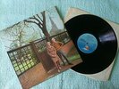 Fairport Convention - Unhalfbricking  LP UK 19?? re NM/NM  Folk Rock