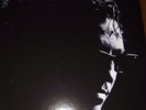 Richard Hawley Trueloves Gutter 2LP Limited Vinyl Release