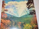 Innerspeaker by Tame Impala Rare 2LP cut at 45rpm  Only 500 made