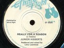 Junior Hibberts - Really For a Reason UK Ethnic Fight 7