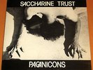 SACCHARINE TRUST PAGINICONS SST 006 45 RPM 1ST PRESSING W/ INSERT RARE EXCELLENT