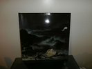 ainigma diluvium (little wing record)