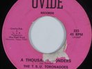 Northern Soul 45 T.S.U. TORONADOES A Thousand Wonders OVIDE HEAR