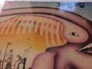 WARM DUST - S/T - GER Only - 1st Press 72 Prog KILLER ON BASF REC G/FOLD M-/EX+