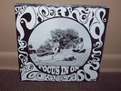 THE PAPERHEAD- FOCUS IN ON THE LOOKING GLASS LP Ltd 500 Green