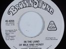 Funk 45 VICKI ANDERSON In the Land of Milk and Honey BROWNSTONE HEAR VG++