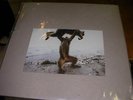 SHELLAC Dude Incredible 180gram VINYL NEW Big Black Nirvana