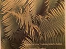 EDGAR FROESE EPSILON IN MALAYSIAN PALE LP VIRGIN UK 1975