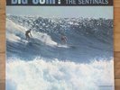 The Sentinals Big Surf Del-Fi Vinyl Record LP