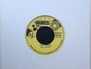 KEN PARKER Girl Asheba WAMBESI Roy Cousins REGGAE Roots 45 NM Rare