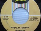THE CADILLACS please Mr Johnson / Cool it Fool Doo Wop 45 N-Mint cond cc871