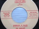 CADILLACS Jesse POWELL speedo is back / a looka here Doo Wop 45  VG++ cond cc869