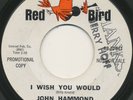 JOHN HAMMOND on Red Bird --I CAN TELL-- mod r&b blues garage 45 | PROMO | LISTEN