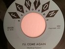 1967 MICHIGAN GARAGE - LEGENDS - I'll COME AGAIN / I'M JUST A GUY - FENTON 2512