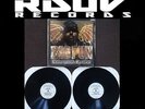 BIG PUN - ENDANGERED SPECIES - 2 LP 12