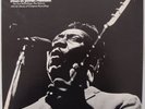MUDDY WATERS: DOwn on Stovall’s Plantation TESTAMENT vinyl lp BLUES - NEAR MINT
