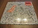 PARAMORE RIOT LP 2007 ORIGINAL 1st PRESS WHITE VINYL in SHRINK FREE SHIPPING