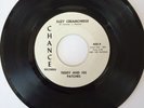 TEDDY AND HIS PATCHES SUZY CREAMCHEESE Super Rare Garage Psych Punk 45 EX