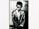Now Im A Cowboy - Auteurs (2014, Vinyl New)