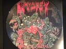 Autopsy  - Mental Funeral / Rare Picture LP from 1992 / Death Metal