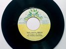 [TWINKLE] Give Rasta Praise - The Twinkle Brothers / Everlasting Dub