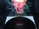 Morgoth - The Eternal Fall /  Rare First Press 12