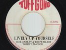 Roots Reggae 45 - Bob Marley & Wailers - Lively Up Yourself - Tuff Gong - mp3