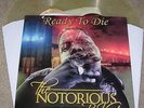 NOTORIOUS BIG 2X 12