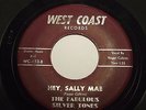 FABULOUS SILVER TONES hey sally mae WESTCOAST 453 rare ROCKABILLY plays+ HEAR IT