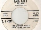 DIANE MINOR Im Gonna Walk ISLE CITY PROMO MICKEY LANEY  NORTHERN SOUL 45