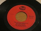 THE NEWCOMERS THE WHOLE WORLD'S A PICTURE SHOW RARE SOUL US TRUTH (STAX) 3213