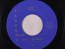 MARK V UNLIMITED: Gone / Funny Changes 45 rare Funk