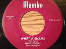 RARE '55 R&B rocker WILLIE EGGINS (Egan) What a Shame / Wow Wow  MAMBO 102 NM