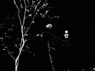 Under A Funeral Moon - Darkthrone (2013, Vinyl New)