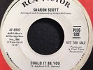 Sharon Scott 60s Northern Soul 45 on RCA   Could It Be You   Hear it