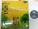 SUNFOREST – Sound of Sunforest / UK Prog Psych Acid / Rare Deram ORIG MONO