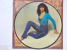 THE KICK INSIDE - KATE BUSH - PICTURE DISC 1ST ISSUE - EMCP3223 1978 - EX