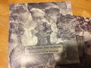The Receiving End Of Sirens - Between The Heart And The Synapse (vinyl OOP)