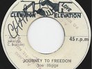 KARL MASTERS & JOE HIGGS  FREEDOM JOURNEY  ELEVATION ORIG 45 7