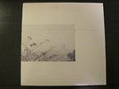 WILD NOTHING Golden Haze RARE Red Vinyl LP 12