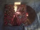 A Day to Remember HOMESICK Clear w/ Black Smoke Vinyl OOP ADTR LIMITED EDITION