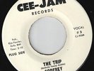 GODFREY-45-THE TRIP-Killerkool 1965 Los Angeles California Garage-Punk