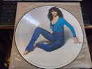 KATE BUSH-LP VINYL RECORD-PICTURE DISC-THE KICK INSIDE-1ST PRESS-UNPLAYED