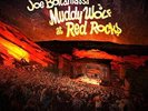 JOE BONAMASSA - MUDDY WOLF AT RED ROCKS  2 VINYL LP + DOWNLOAD NEW+
