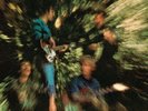 CREEDENCE CLEARWATER REVIVAL - BAYOU COUNTRY  VINYL LP NEW+