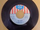 DAUGHTERS OF EVE Hey Lover/Stand By Me 1966 USA 1780 Chicago girl garage soul 45