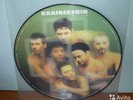 Rammstein Mutter LP (Picture vinyl, 2001)