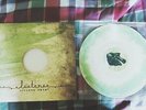 Listener - Wooden Heart