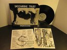 Saccharine Trust Paganicons 1981 Punk Hardcore LP Vinyl Promo SST