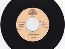 Rare Doo Wop Vocal Group 45 The Chips 